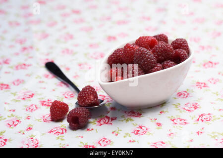 Rubus idaeus 'autunno Bliss". Appena raccolto i frutti a bacca rossa in un recipiente su un panno floreali. Foto Stock