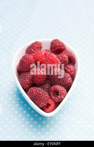 Rubus idaeus 'autunno Bliss". Appena raccolto i frutti a bacca rossa in una ciotola su una macchie panno blu. Foto Stock