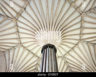 La ventola decorativo soffitto a volta della casa del Capitolo nella Cattedrale di Wells, Somerset, Inghilterra, Regno Unito Foto Stock