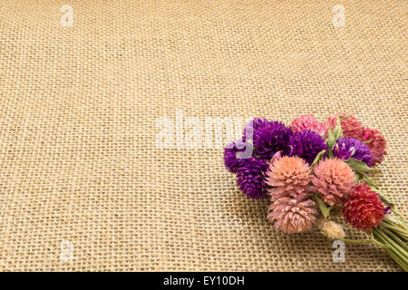 Asciugare multi-colore di fiori su uno sfondo di tela ruvida. Foto Stock