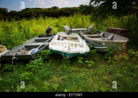 Piccole barche nell'erba lungo il fiume Potomac Foto Stock