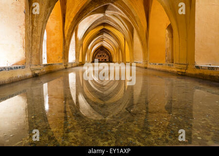 Maria Padilla bagni in Alcazar di Siviglia (Spagna) Foto Stock