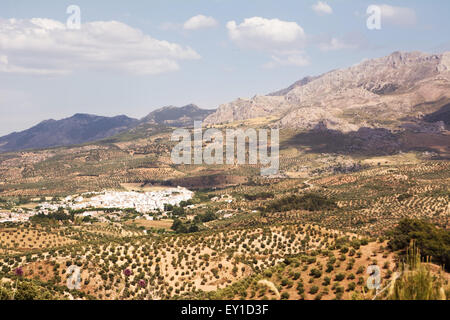 Tipico villaggio andaluso (pueblo blanco) al piede della montagna Foto Stock