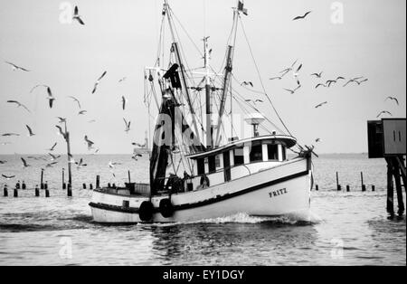 Commerciale barche da pesca in Texas, Stati Uniti d'America che il pesce per la costa del Golfo di gamberi. Foto Stock