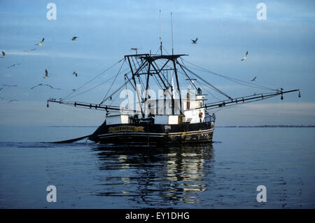 Commerciale barche da pesca in Texas, Stati Uniti d'America che il pesce per la costa del Golfo di gamberi. Foto Stock