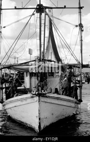 Commerciale barche da pesca in Texas, Stati Uniti d'America che il pesce per la costa del Golfo di gamberi. Foto Stock