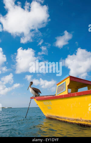 Il giallo delle barche da pesca Pellicano Foto Stock