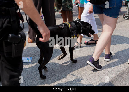 La polizia K-9 cane folla di pattugliamento - Washington DC, Stati Uniti d'America Foto Stock