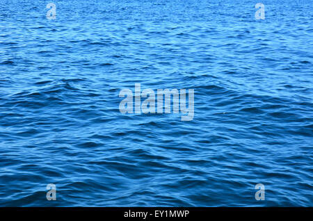 acqua increspata Foto Stock