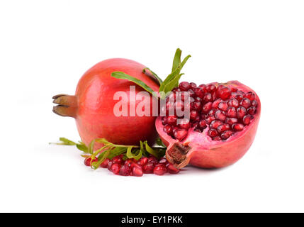 Melograno isolati su sfondo bianco Foto Stock