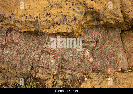 Lo strato Pyroxenite in peridotiti (mantello) rock Foto Stock