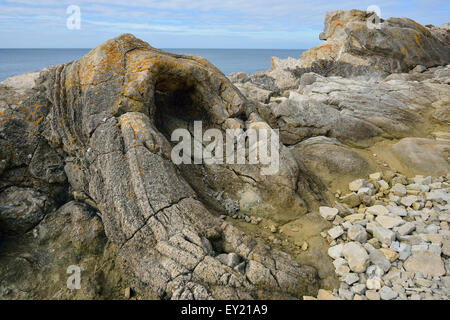 Foresta fossile nelle vicinanze Lulworth Cove rimane pietrificato di un 140 milion anno vecchi ceppi di alberi Foto Stock