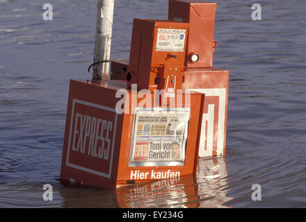 DEU, Germania, Colonia, esondazioni del fiume Reno nel novembre 1998, giornale pupe in alluvioni.....DEU, Deutschland, Koeln, Foto Stock