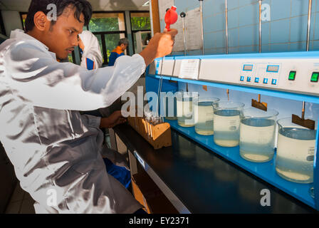 Uno scienziato che lavora su un laboratorio di prova della qualità dell'acqua di sorgente gestito da Aetra, uno dei fornitori di acqua di Giacarta, a Giacarta Est, Indonesia. Foto Stock