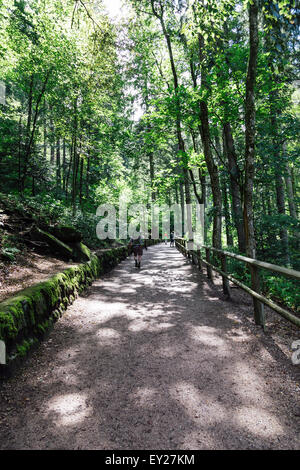 Sentiero per le cascate di Triberg, Foresta Nera, Germania Foto Stock