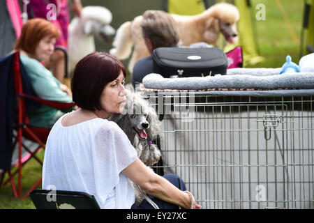 Mlada Boleslav, Repubblica Ceca. 19 Luglio, 2015. Czech National Dog Show 2015 ha avuto luogo a Mlada Boleslav, Repubblica Ceca, luglio 19, 2015. © Radek Petrasek/CTK foto/Alamy Live News Foto Stock