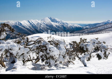 Mt Hotham ski resort dopo la neve fresca guardando verso Mt Feathertop Foto Stock