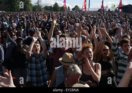 Londra, Regno Unito. 19 Luglio, 2015. Lambeth Paese mostrano 2015 in Brockwell Park a Londra. Credito: Vedere Li/Alamy Live News Foto Stock