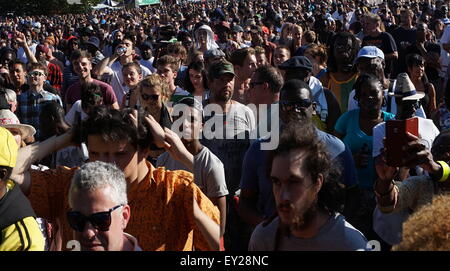 Londra, Regno Unito. 19 Luglio, 2015. Lambeth Paese mostrano 2015 in Brockwell Park a Londra. Credito: Vedere Li/Alamy Live News Foto Stock