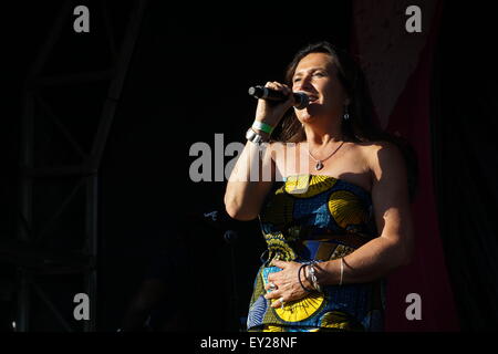 Londra, Regno Unito. 19 Luglio, 2015. Lambeth Paese mostrano 2015 in Brockwell Park a Londra. Credito: Vedere Li/Alamy Live News Foto Stock