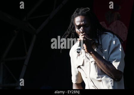 Londra, Regno Unito. 19 Luglio, 2015. Lambeth Paese mostrano 2015 in Brockwell Park a Londra. Credito: Vedere Li/Alamy Live News Foto Stock