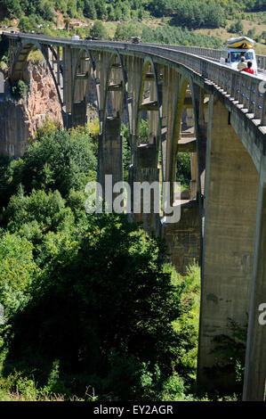 Ponte sul Fiume Tara canyon in Montenegro. Foto Stock