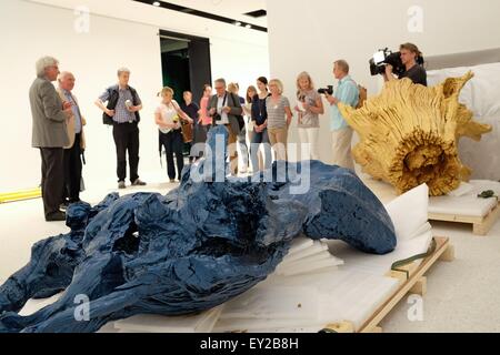 Kassel, Germania. Il 20 luglio, 2015. Due radici colorate sono in mostra presso il nuovo "Grimm-Welt' museo (lit. Grimm mondo) a Kassel in Germania, 20 luglio 2015. Artista cinese Ai Weiwei ha creato l'opera intitolata "Radici colorate 2009-2015' costituito da cinque di queste radici specificamente per il mondo di Grimm. Ai aveva annunciato la grafica per il museo dovrebbe aprire i battenti nel settembre 2015, durante una cerimonia di premiazione tenutasi a Kassel nel 2010. Foto: UWE ZUCCHI/dpa/Alamy Live News Foto Stock