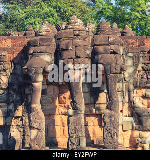 Terrazza degli elefanti, Cambogia Foto Stock