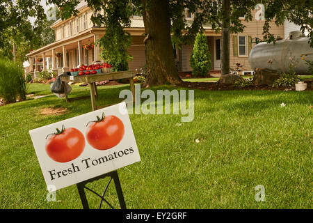 Farm stand con i pomodori maturi, Lancaster County, Pennsylvania, STATI UNITI D'AMERICA Foto Stock