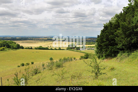 Un inglese un paesaggio rurale con la via attraverso un prato di fiori selvaggi nella Chiltern Hills in Sud Oxfordshire Foto Stock