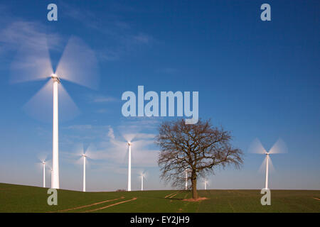 Albero solitario tra la filatura delle turbine eoliche in fattoria eolica nel campo Foto Stock