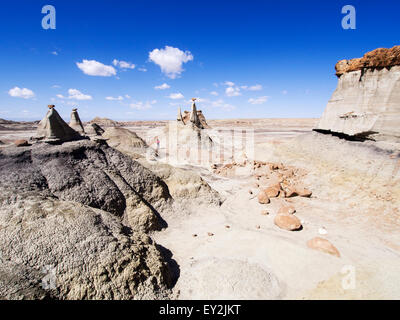 Bisti Badlands del New Mexico - formazione di roccia Foto Stock