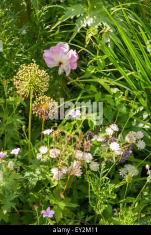 Un'immagine di Charleston giardini , nei pressi di Firle , East Sussex Foto Stock