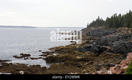 Riva, il Parco Nazionale di Acadia, Maine, Stati Uniti d'America Foto Stock