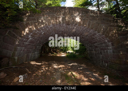 Carro ponte stradale, parco nazionale di Acadia, Maine, Stati Uniti d'America Foto Stock