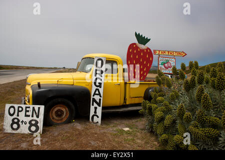 Segno e colore giallo carrello per Swanton Berry Farm, Davenport, California, Stati Uniti d'America Foto Stock