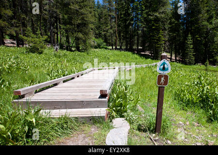 Sezione Boardwalk del Pacific Crest Trail, Parco nazionale vulcanico di Lassen, California, Stati Uniti d'America Foto Stock