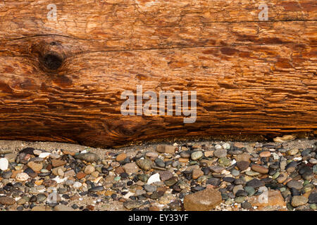 Driftwood su una spiaggia di Isola di protezione, British Columbia, Canada Foto Stock