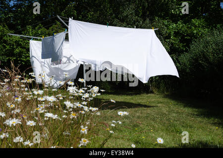 Appena lavate fogli bianchi di essiccazione a uno stendibiancheria in un giardino verde con margherite Foto Stock