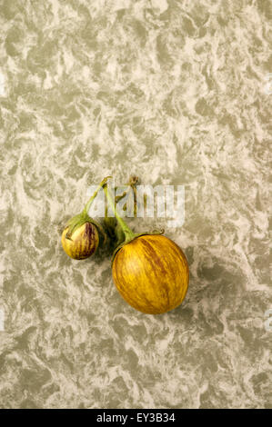 Gessato melanzane su fatti a mano carta marmorizzata in verde muschio. Foto Stock