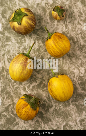Gessato melanzane su fatti a mano carta marmorizzata in verde muschio. Foto Stock