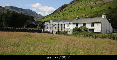 Medio è sceso Farm, grande langdale estate nel pomeriggio, the langdale pikes e Bowfell dietro Foto Stock