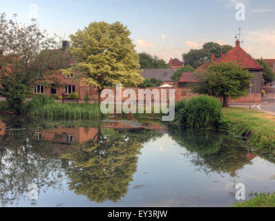 Lo stagno, Ilsley orientale, Newbury, Berkshire occidentale, Inghilterra, REGNO UNITO, RG20 7LP Foto Stock