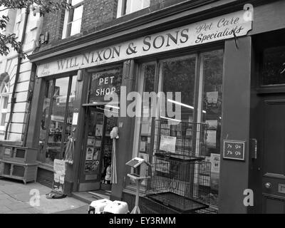 Sarà Nixon e figli,tradizionale Carlisle pet shop,Cumbria,l'Inghilterra,UK,nero/bianco Foto Stock