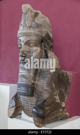 Colonna con capitale umano con testa di toro da Apadana, Persepolis, Museo Nazionale, Teheran, Iran Foto Stock