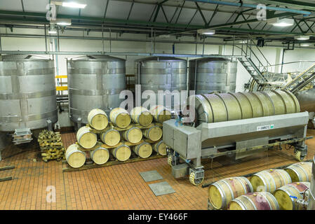 In acciaio inox vasche di refrigerazione e botti di rovere a Groot Constantia Wine Estate, Città del Capo, Sud Africa Foto Stock