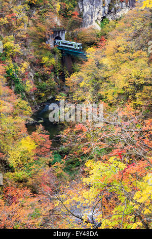 I colori autunnali di Naruko-Gorge in Giappone per adv o altri usi Foto Stock