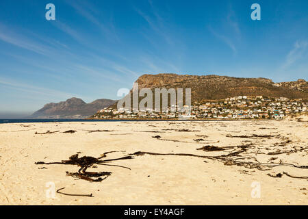 False Bay spiaggia vicino Kalk Bay Città del Capo Sud Africa, con Fish Hoek a distanza Foto Stock