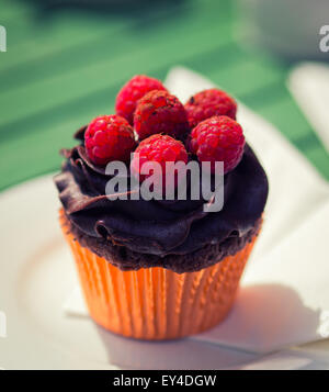 Un cioccolato e lamponi muffin al sole. Foto Stock