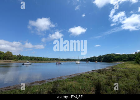 Vista del fiume Beaulieu Foto Stock